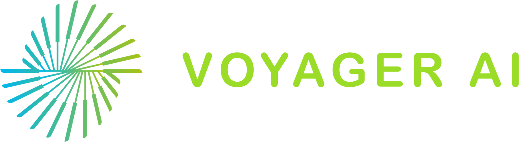Voyager AI