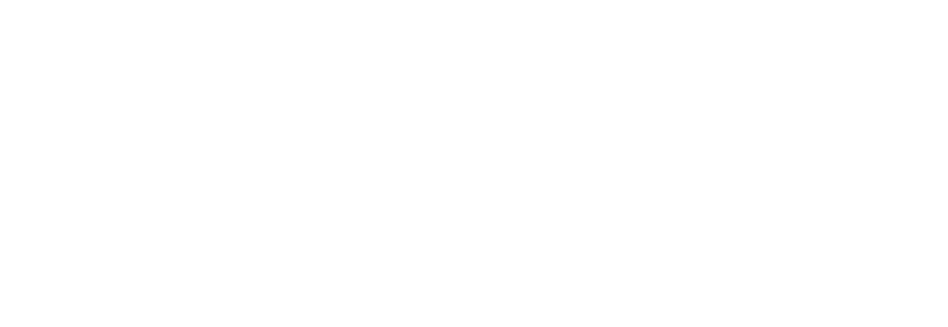 Voyager AI
